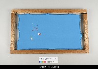 藏品(布袋戲服飾-刺繡示範(框))的圖片